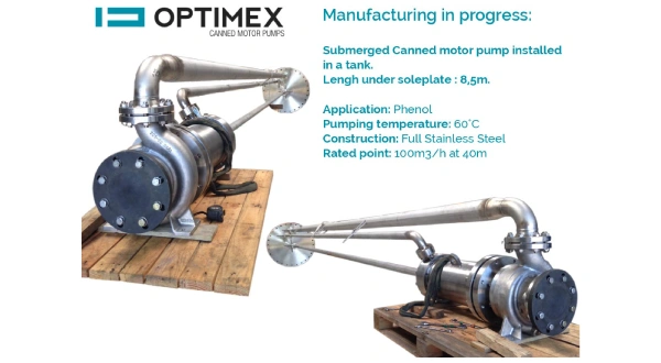 submerged canned motor pump installed in a tank