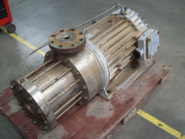 Cryogenic submerged-motor pumps manutention